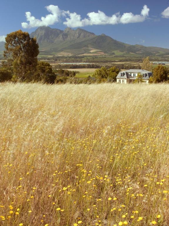 Belair Country House Paarl Ngoại thất bức ảnh