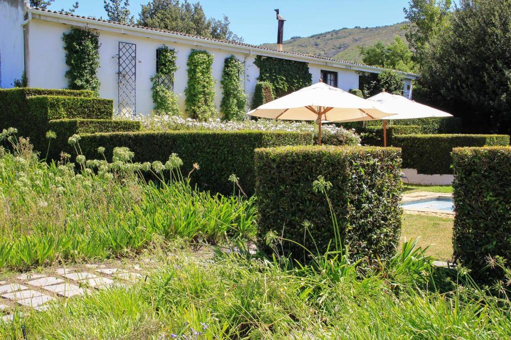 Belair Country House Paarl Ngoại thất bức ảnh